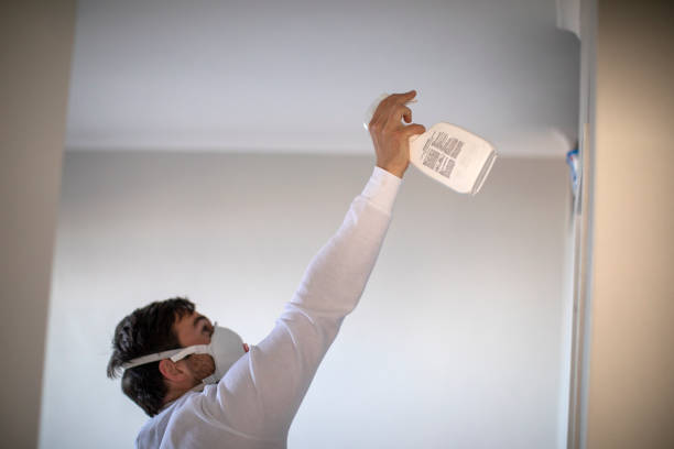 Best Crawl Space Mold Removal  in Chimayo, NM